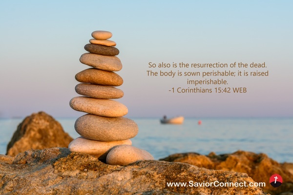 1 Cor 15:42
